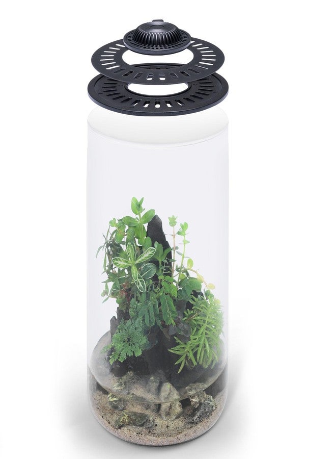 SubstrateSource Bio Cylinder - Glass Plant Terrarium Kit - Glass Terrarium w/LED Grow Light, Adjustable Ventilation Lid, Substrate, Moss & Accent Rocks - Bio Cylinder 150 - Image 1